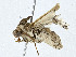  ( - CBG-A00309-D09)  @11 [ ] CreativeCommons - Attribution (2023) CBG Photography Group Centre for Biodiversity Genomics