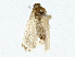  ( - CBG-A00311-H07)  @11 [ ] CreativeCommons - Attribution (2023) CBG Photography Group Centre for Biodiversity Genomics
