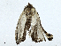  ( - CBG-A00313-H03)  @11 [ ] CreativeCommons - Attribution (2023) CBG Photography Group Centre for Biodiversity Genomics