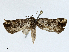  ( - CBG-A02866-G01)  @11 [ ] CreativeCommons - Attribution (2023) CBG Photography Group Centre for Biodiversity Genomics