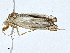  ( - CBG-A02866-G06)  @11 [ ] CreativeCommons - Attribution (2023) CBG Photography Group Centre for Biodiversity Genomics