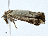 ( - CBG-A02866-H07)  @11 [ ] CreativeCommons - Attribution (2023) CBG Photography Group Centre for Biodiversity Genomics