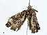  ( - CBG-A02867-A04)  @11 [ ] CreativeCommons - Attribution (2023) CBG Photography Group Centre for Biodiversity Genomics
