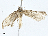  ( - CBG-A02867-A07)  @11 [ ] CreativeCommons - Attribution (2023) CBG Photography Group Centre for Biodiversity Genomics