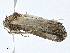  ( - CBG-A02867-D10)  @11 [ ] CreativeCommons - Attribution (2023) CBG Photography Group Centre for Biodiversity Genomics