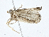  ( - CBG-A02868-F08)  @11 [ ] CreativeCommons - Attribution (2023) CBG Photography Group Centre for Biodiversity Genomics