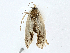  ( - CBG-A02869-A11)  @11 [ ] CreativeCommons - Attribution (2023) CBG Photography Group Centre for Biodiversity Genomics