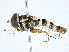  ( - CBG-A02869-E08)  @11 [ ] CreativeCommons - Attribution (2023) CBG Photography Group Centre for Biodiversity Genomics