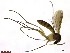 ( - TROM_SPM-058682)  @12 [ ] CreativeCommons - Attribution Non-Commercial Share-Alike (2015) Jostein Kjaerandsen Tromso University Museum