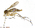  ( - TROM-TSZD-JKJ-100144)  @13 [ ] CreativeCommons - Attribution Non-Commercial Share-Alike (2014) Unspecified Tromso University Museum