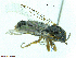  ( - TROM-TSZD-JKJ-100145)  @11 [ ] CreativeCommons - Attribution Non-Commercial Share-Alike (2014) Unspecified Tromso University Museum