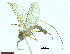  ( - TROM-TSZD-JKJ-100150)  @11 [ ] CreativeCommons - Attribution Non-Commercial Share-Alike (2014) Unspecified Tromso University Museum