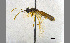  ( - TROM-TSZX-22816)  @13 [ ] CreativeCommons - Attribution Non-Commercial Share-Alike (2014) Unspecified Tromso University Museum