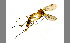  ( - TSZD-JKJ-100022)  @11 [ ] CreativeCommons - Attribution Non-Commercial Share-Alike (2014) Unspecified Tromso University Museum