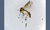  ( - TSZD-JKJ-100172)  @11 [ ] CreativeCommons - Attribution Non-Commercial Share-Alike (2014) Unspecified Tromso University Museum