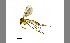  ( - TSZD-JKJ-100176)  @11 [ ] CreativeCommons - Attribution Non-Commercial Share-Alike (2014) Unspecified Tromso University Museum