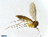  ( - TROM-TSZD-JKJ-100251)  @12 [ ] CreativeCommons - Attribution Non-Commercial Share-Alike (2015) Unspecified Tromso University Museum
