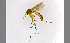  ( - TSZD-JKJ-100314)  @13 [ ] CreativeCommons - Attribution Non-Commercial Share-Alike (2014) Unspecified Tromso University Museum