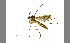  ( - TSZD-JKJ-100389)  @14 [ ] CreativeCommons - Attribution Non-Commercial Share-Alike (2014) Unspecified Tromso University Museum