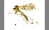  ( - TSZD-JKJ-100397)  @13 [ ] CreativeCommons - Attribution Non-Commercial Share-Alike (2014) Unspecified Tromso University Museum