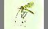  ( - TSZD-JKJ-100400)  @13 [ ] CreativeCommons - Attribution Non-Commercial Share-Alike (2014) Unspecified Tromso University Museum