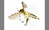  ( - TSZD-JKJ-100406)  @13 [ ] CreativeCommons - Attribution Non-Commercial Share-Alike (2014) Unspecified Tromso University Museum