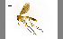  ( - TSZD-JKJ-100415)  @11 [ ] CreativeCommons - Attribution Non-Commercial Share-Alike (2014) Unspecified Tromso University Museum