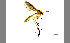  ( - TSZD-JKJ-100416)  @14 [ ] CreativeCommons - Attribution Non-Commercial Share-Alike (2014) Unspecified Tromso University Museum