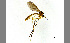  ( - TSZD-JKJ-100418)  @11 [ ] CreativeCommons - Attribution Non-Commercial Share-Alike (2014) Unspecified Tromso University Museum