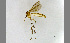  ( - TSZD-JKJ-100419)  @13 [ ] CreativeCommons - Attribution Non-Commercial Share-Alike (2014) Unspecified Tromso University Museum