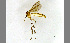 ( - TSZD-JKJ-100419)  @13 [ ] CreativeCommons - Attribution Non-Commercial Share-Alike (2014) Unspecified Tromso University Museum
