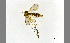  ( - TSZD-JKJ-100430)  @13 [ ] CreativeCommons - Attribution Non-Commercial Share-Alike (2014) Unspecified Tromso University Museum