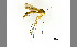  ( - TSZD-JKJ-100434)  @11 [ ] CreativeCommons - Attribution Non-Commercial Share-Alike (2014) Unspecified Tromso University Museum