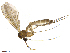  ( - TROM-TSZD-JKJ-100484)  @14 [ ] CreativeCommons - Attribution Non-Commercial Share-Alike (2015) Unspecified Tromso University Museum