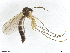  ( - TROM-TSZD-JKJ-100498)  @13 [ ] CreativeCommons - Attribution Non-Commercial Share-Alike (2015) Unspecified Tromso University Museum