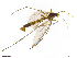  ( - TROM-TSZD-JKJ-100508)  @11 [ ] CreativeCommons - Attribution Non-Commercial Share-Alike (2015) Unspecified Tromso University Museum