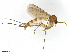  ( - TROM-TSZD-JKJ-100517)  @14 [ ] CreativeCommons - Attribution Non-Commercial Share-Alike (2015) Unspecified Tromso University Museum