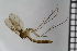  ( - TROM_TSZD-JKJ-100723)  @12 [ ] CreativeCommons - Attribution Non-Commercial Share-Alike (2015) Jostein Kjaerandsen Tromso University Museum
