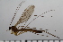  ( - TROM_TSZD-JKJ-100732)  @12 [ ] CreativeCommons - Attribution Non-Commercial Share-Alike (2015) Jostein Kjaerandsen Tromso University Museum