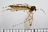  ( - TROM_TSZD-JKJ-100734)  @11 [ ] CreativeCommons - Attribution Non-Commercial Share-Alike (2015) Jostein Kjaerandsen Tromso University Museum