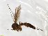  ( - TSZD-JKJ-100750)  @12 [ ] CreativeCommons - Attribution Non-Commercial Share-Alike (2015) Unspecified Tromso University Museum