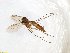  ( - TSZD-JKJ-100752)  @13 [ ] CreativeCommons - Attribution Non-Commercial Share-Alike (2015) Unspecified Tromso University Museum