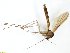  ( - TSZD-JKJ-100772)  @12 [ ] CreativeCommons - Attribution Non-Commercial Share-Alike (2015) Unspecified Tromso University Museum
