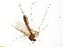  ( - TSZD-JKJ-100778)  @11 [ ] CreativeCommons - Attribution Non-Commercial Share-Alike (2015) Unspecified Tromso University Museum
