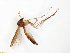  ( - TSZD-JKJ-100870)  @12 [ ] CreativeCommons - Attribution Non-Commercial Share-Alike (2015) Unspecified Tromso University Museum