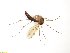  ( - TSZD-JKJ-100947)  @11 [ ] CreativeCommons - Attribution Non-Commercial Share-Alike (2015) Unspecified Tromso University Museum