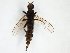  ( - TSZD-JKJ-106892)  @12 [ ] CreativeCommons - Attribution Non-Commercial Share-Alike (2017) Unspecified Tromsø University Museum