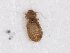  ( - TSZD-JKJ-106917)  @11 [ ] CreativeCommons - Attribution Non-Commercial Share-Alike (2017) Unspecified Tromsø University Museum