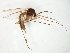 ( - TSZD-JKJ-106939)  @11 [ ] CreativeCommons - Attribution Non-Commercial Share-Alike (2019) Unspecified Tromsø University Museum