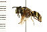  ( - LP00108)  @13 [ ] CreativeCommons - Attribution (2009) Unspecified Centre for Biodiversity Genomics